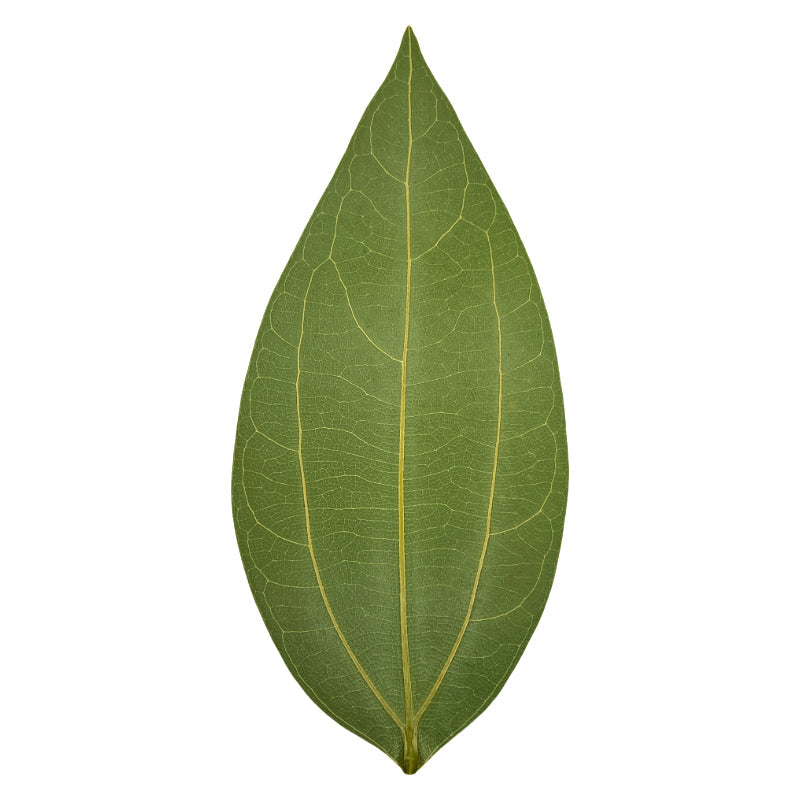 Laser Material Of Blank Leaf Engraving Kit for Laser Engraving