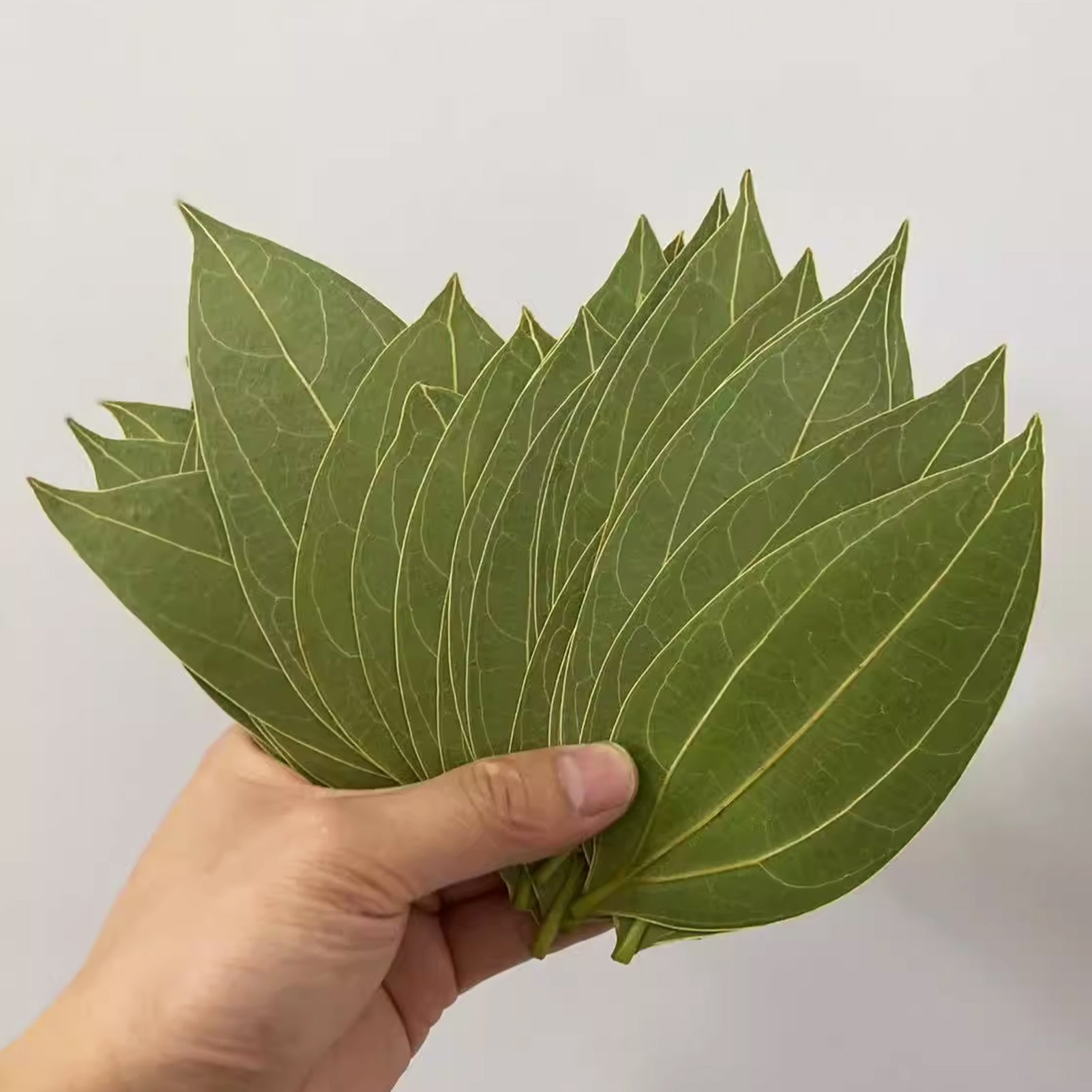 Laser Material Of Blank Leaf Engraving Kit for Laser Engraving